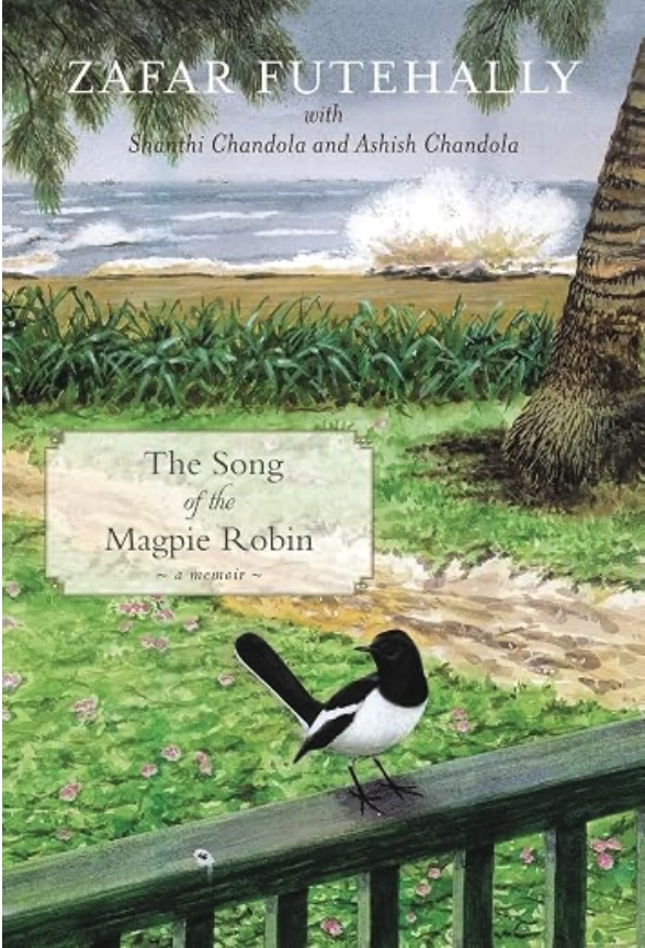 The Song Of The Magpie Robin